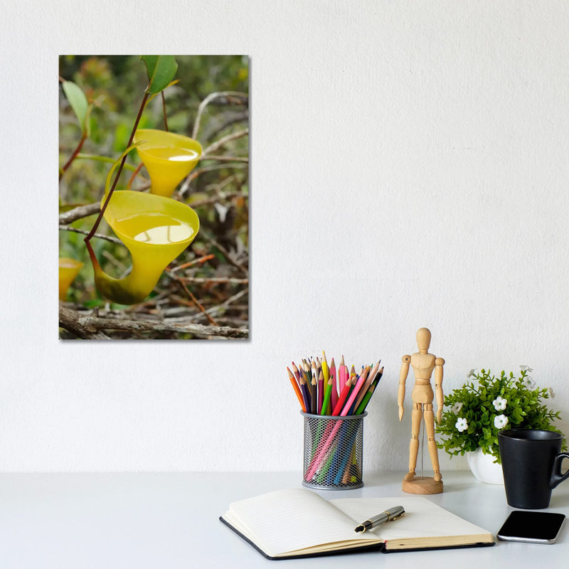 Ch'ien Lee - Wrapped Canvas Print, 20.32 cm H x 30.48 cm W
