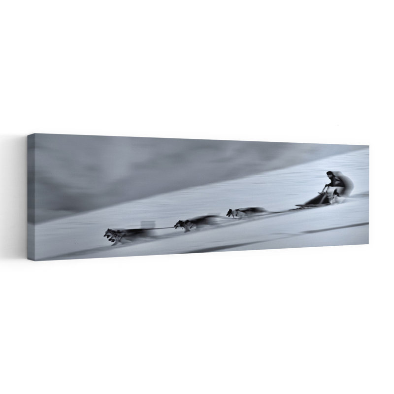 Speedy Sled Team by Dusan Ignac - Wrapped Canvas Panoramic Print, 40.64 cm H x 121.92 cm W