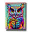 «Dignity Owl» par Dean Russo, art mural sur toile-733960843