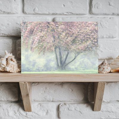 «Misty Cherry Blossoms Delicate Dreamy Ethereal»