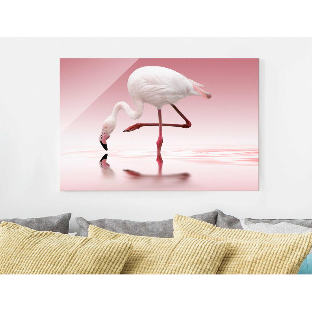 Glasbild Flamingo Tanz