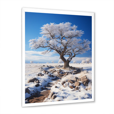 Snow Tree Winters Solitude - impression