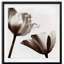 Takes Two II - reproduction d'art encadrée-1773191699