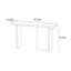 Console moderne de style minimaliste noir