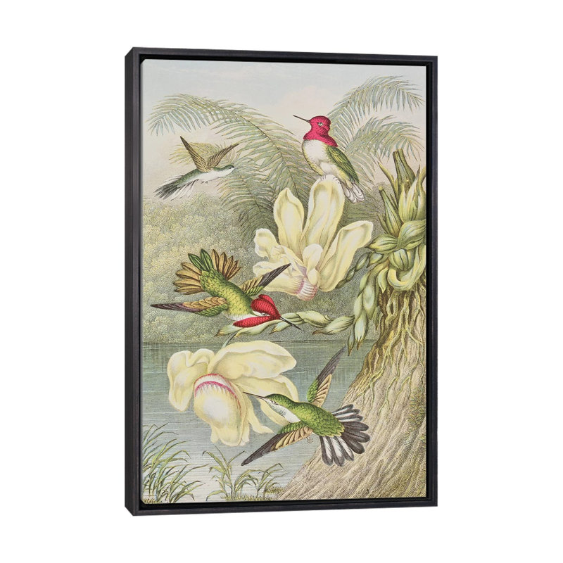 «Humming Birds parmi les fleurs tropicales» par English School - impression d'art graphique, H 40 po x l 26 po x P 1,5 po