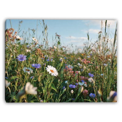 "Summer Meadow Clos Art", art mural sur toile tendue