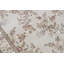 Floral Area Rug in Ivory