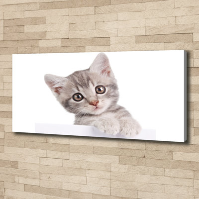 Gray Cat - No Frame Print on Canvas
