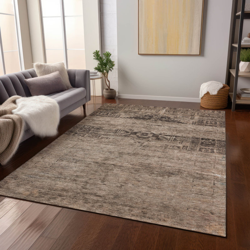 Machine Washable Indoor/Outdoor Claudian ACN1647 Brown Rug, Rectangle 5' x 7'6"