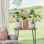 Puro Ripple Planter-1348471266