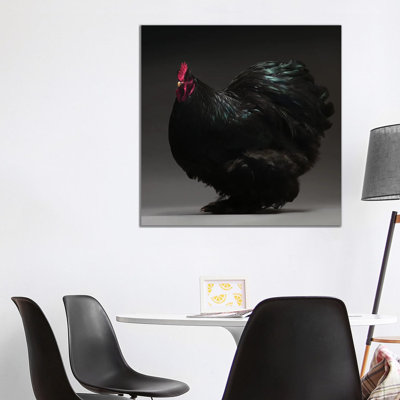 Cochin Bantam - Wrapped Canvas Print
