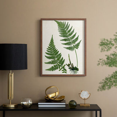 Impression encadrée Fern II - bois massif