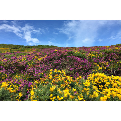 Ireland by MediaProduction - No Frame Print on Canvas