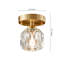 Antranigian 1-Light Diamond Crystal Shade Semi Flush Mount