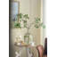 D9.1x16.5 "Vase en verre transparent arrondi avec col étroit et motif botanique vert et or