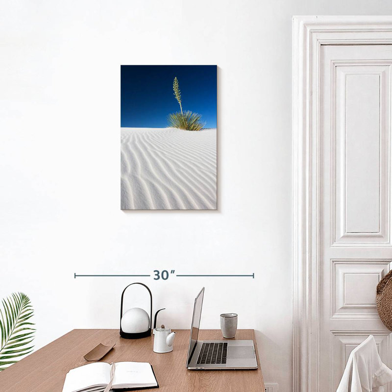 White Sands Park Yucca, 24" H x 16" W