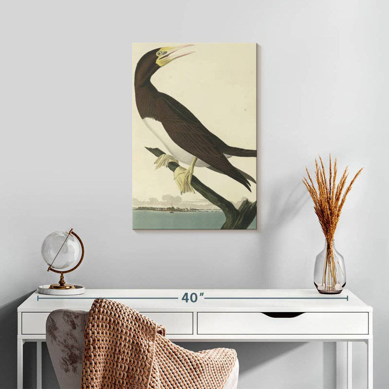 Brampt Booby Gannet, 24" H x 16" W