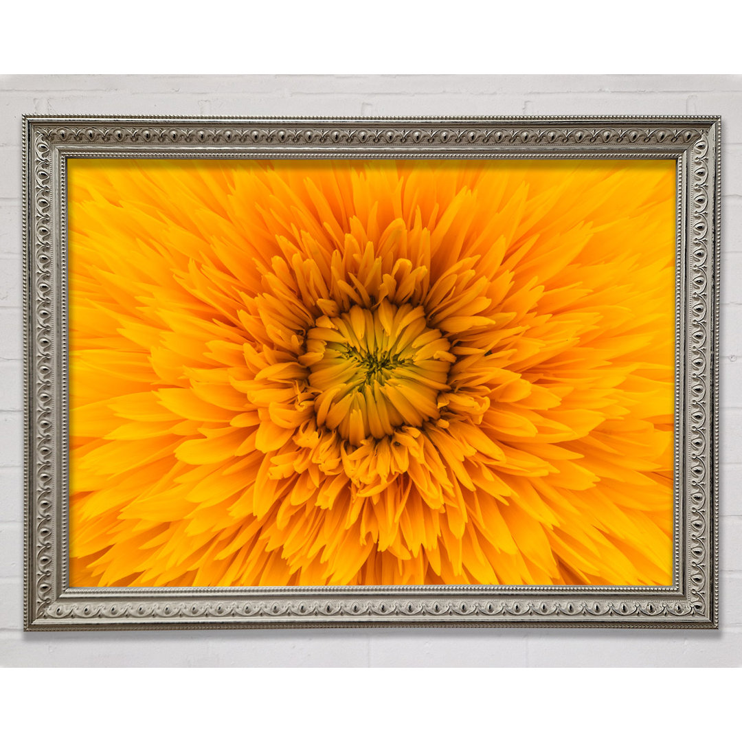 Gorgeous Yellow Flower Delight - Einzelner Bilderrahmen Kunstdrucke