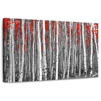 Forêt de bouleaux rouges Harnek