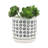 S/2 5/6" Aztec Planter W/ Saucer