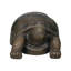 Aerick Weather Resistant Garden Statue