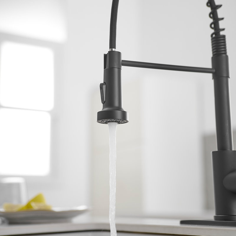 High Arc Kitchen Faucet With Single-Handle Pull-Down Sprayer And Deck Plate, Matte Black