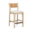 Colony Counter Stool-78536467