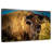 Brampt Grazing American Buffalo-107850272
