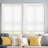 Wayfair Basics® Top-Down Bottom-Up Semi-Sheer Cellular Shade-39925986-27704036