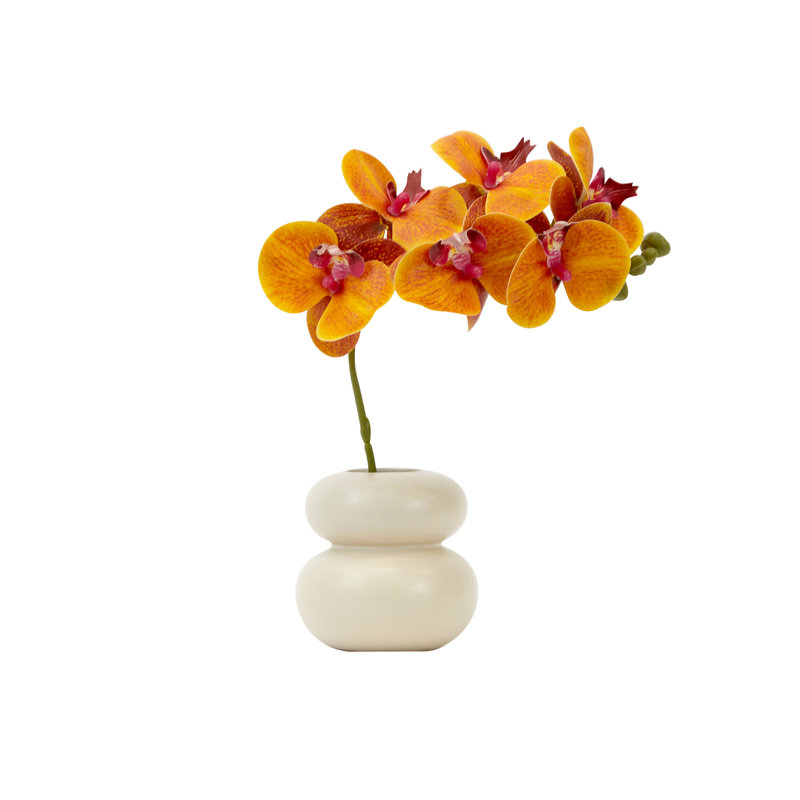 Arrangement floral orchidée Allon dans un vase