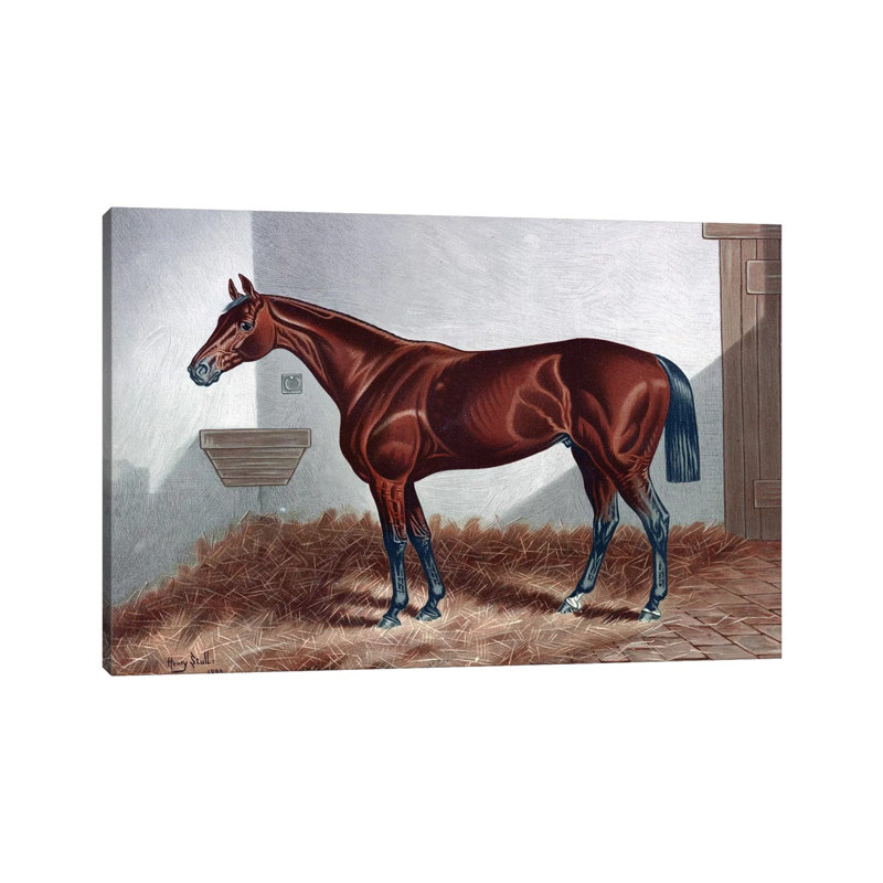 Horse II by PatentPrintStore - Wrapped Canvas Print, 20.32 cm H x 30.48 cm W