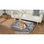 Dog Beds Pet Bed-2091170511