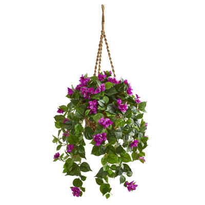 Bougainvillea Arrangement in Basket