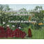 Toile tendue Astoria Grand par Tallulah Bankhead-11213063