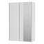 Tasani 2 Door Manufactured Wood Wardrobe