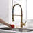 Fapully Pull Down Kitchen Faucet