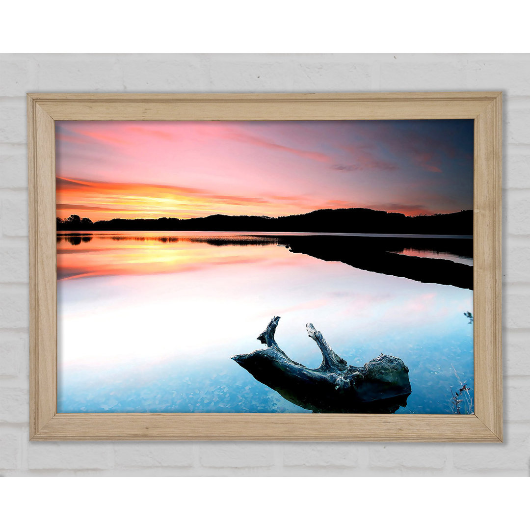 Gerahmtes Poster Driftwood In The Tranquil Ocean