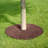 Rubber Tree Ring-70821061