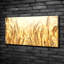 Grain - Print on Canvas