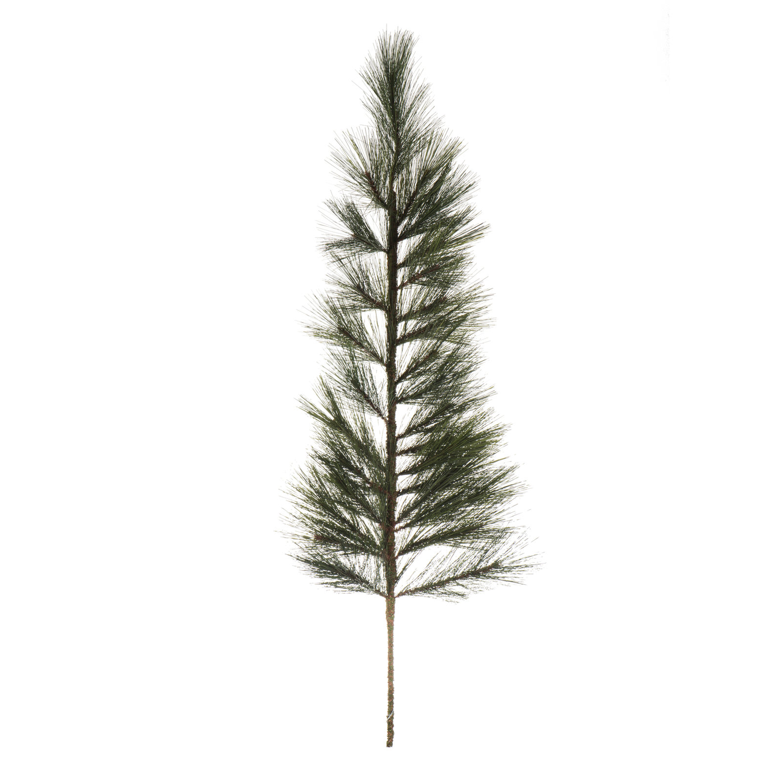 Vickerman Pine Floral Stems