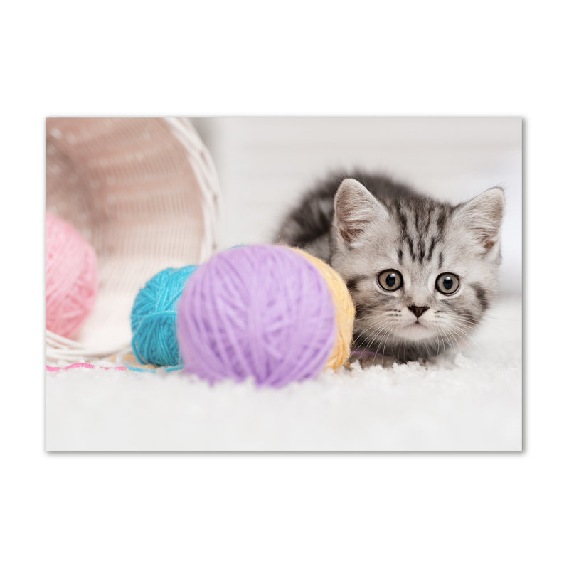 Cat With Hanks - No Frame Print on Canvas