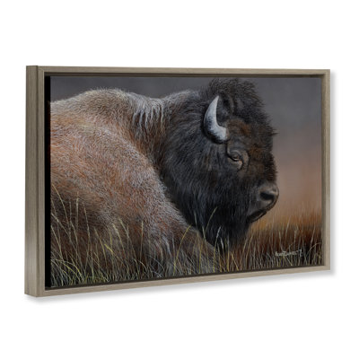 Detailed Bison Close Up Framed Floater Canvas by Kevin Daniel