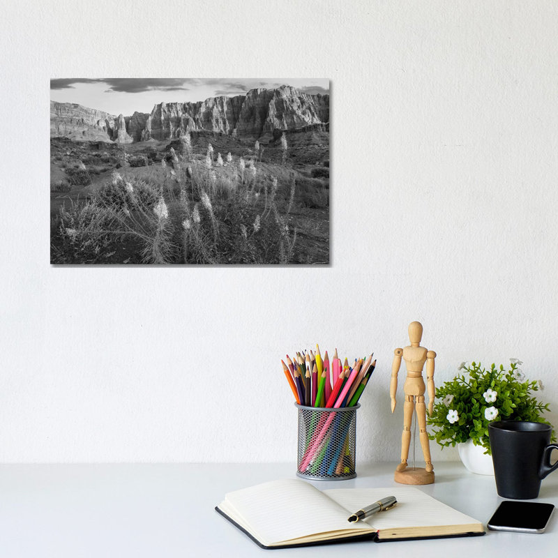 Miner's Candle Flowers In Desert, Cathedral Wash, Vermilion Cliffs National Monument, Arizona - Wrapped Canvas Print