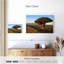 Arbre-dragon Harnek Socotra Archipelago-108874984