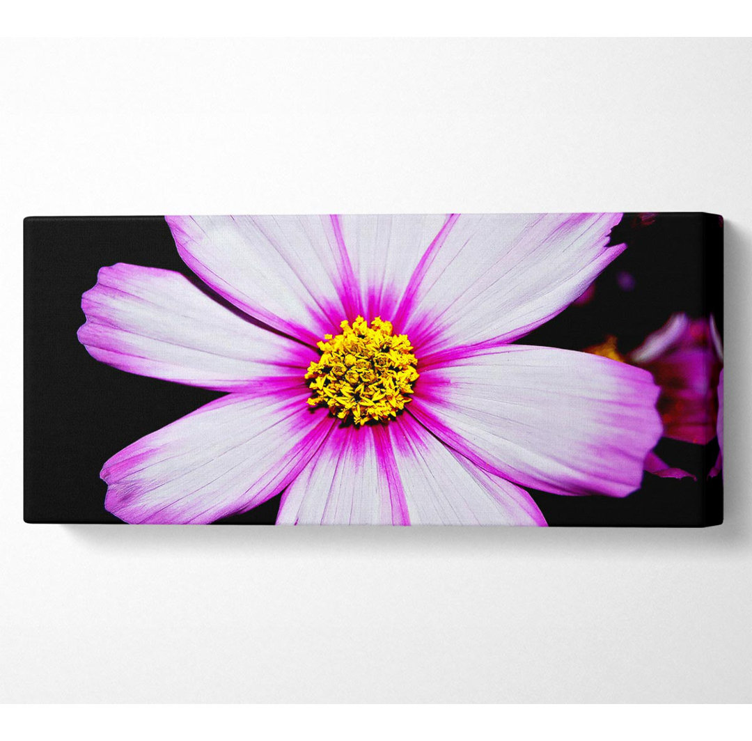 Pink Petal Stunner - Kunstdrucke auf Leinwand