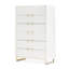 Palm Gate 6 - Drawer Dresser
