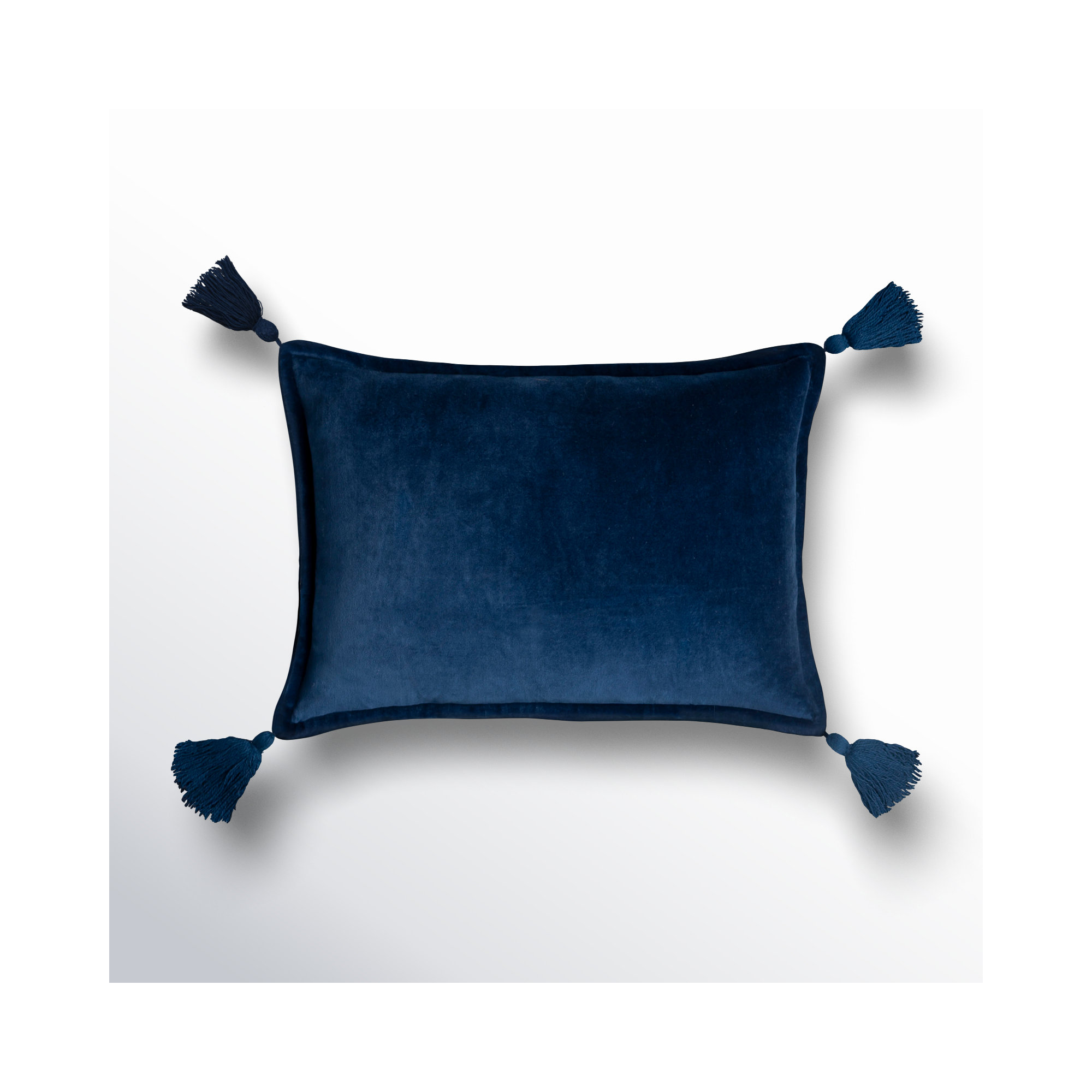 Norwin Tassels Cotton Lumbar Throw Pillow, Polyester/Polyfill, Dark Blue