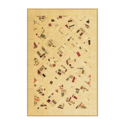 Washable Southwestern Indoor Rug