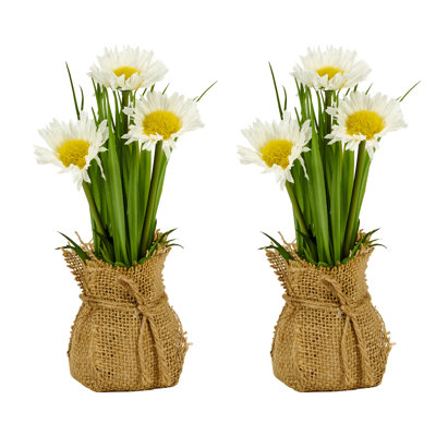 Marguerite 8 po en sac de toile de jute