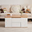 Assal Lift Top Frame Coffee Table with Storage-646334661-646334662